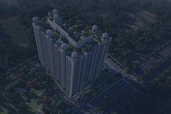 s-trust-realty banner image
