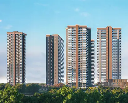 s-trust-realty project image